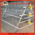 poultry farm A type automatic chicken layer cage 1