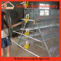 poultry farm A type automatic chicken layer cage 4