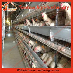 Hot galvanized H type vertical chicken cage 