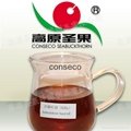 conseco high quality seabuckthorn seed oil 1