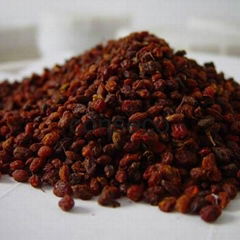 conseco high quality seabuckthorn dried berries