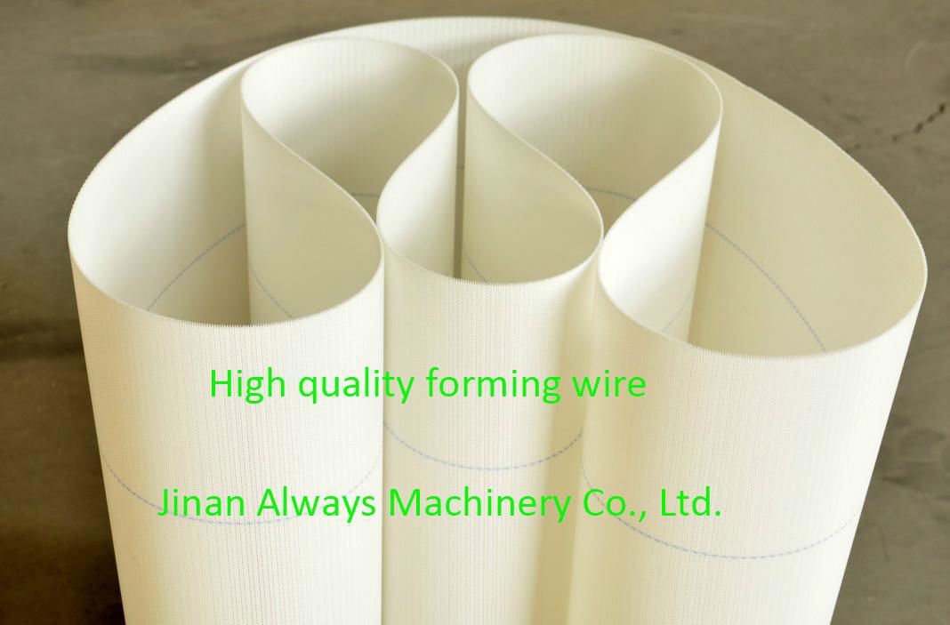 Polyester Forming Fabric for Paper Machine Dryer Screen 3