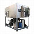 中型真空冷凍乾燥機 中試凍干機 4