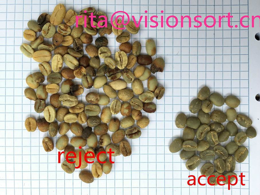 VSEE green coffee bean selecter,color sorter machine Taiwan Malaysia 3