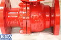 Pneumatic Cryogenic Flanged Ball Valve 3