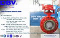 Cryogenic butterfly valve 2