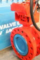 Cryogenic butterfly valve 3