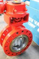 Cryogenic butterfly valve 4