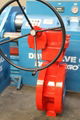 Cryogenic butterfly valve 5