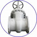 Industrial Gate Valve 2