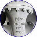 Industrial Gate Valve 1