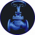 DIN Standard Globe Valve 1