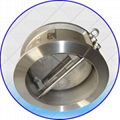 Wafer Dual-plate Check Valve 2