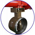 Pneumatic A105 Metal to Metal Triple Offset Butterfly Valves  1