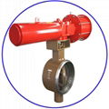 Pneumatic A105 Metal to Metal Triple Offset Butterfly Valves  4