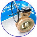 Worm Gear WCB  Metal to Metal Flange