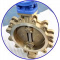 Bronze C95800 Lug Triple  Eccentric Butterfly Valve 1