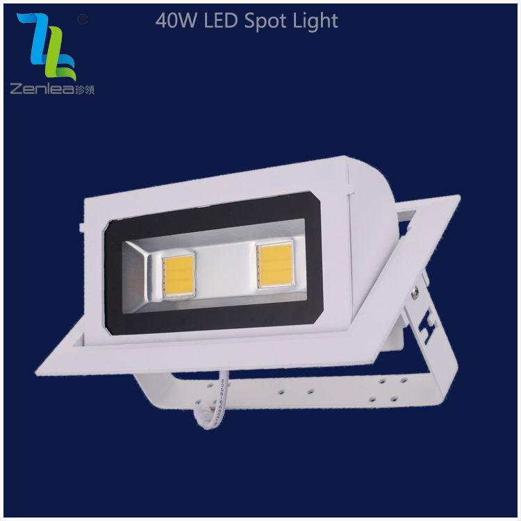 Zenlea 40w Head Moving Led Downlight