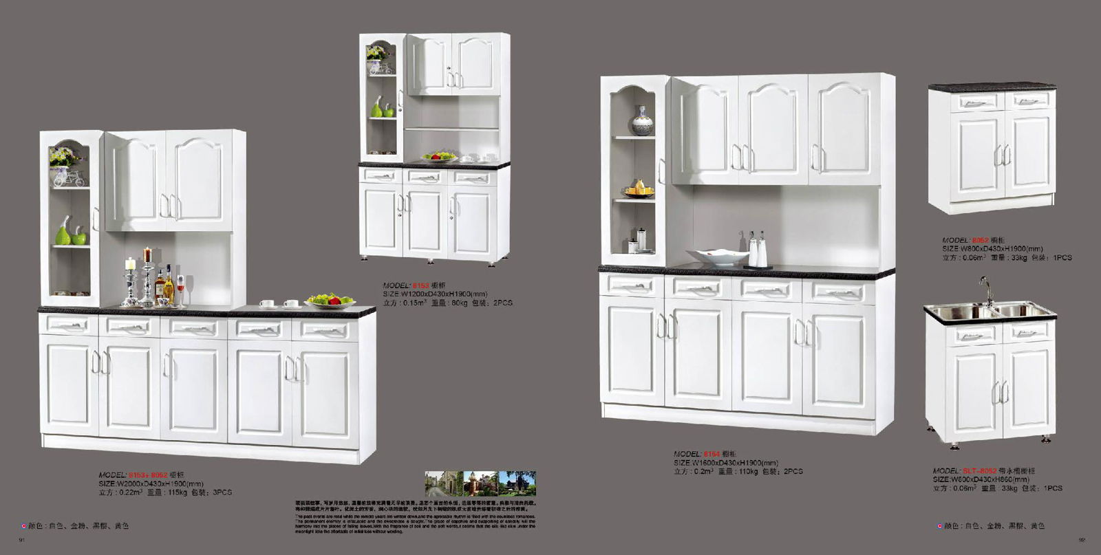 kitchen cabinet 2
