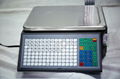 China factory cheap barcode lable printing scale 5