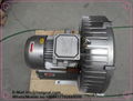 china high pressure industrial vortex pump blower	 2