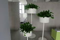 Uispair 100% Steel Floor Round Flower Pot for Modern Office Garden Decoration 5