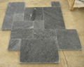 Silver grey pavers 2