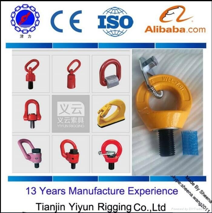 G80 Alloy Steel hoist ring and  Swivel Type Lifting Screw Point