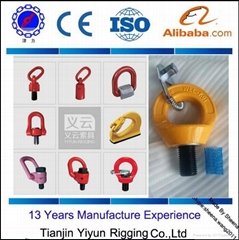 G80 Alloy Steel hoist ring and  Swivel Type Lifting Screw Point