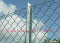 galvanized chain link fence