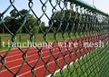 PVC chain link fence