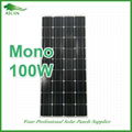 Mono-Crystalline 100W Solar Panel 1