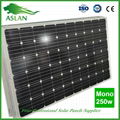 Mono-Crystalline 250W Solar Panel 1
