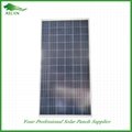 Poly-crystalline Solar Panel 300W 1