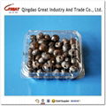 plastic blueberry clamshell 125g punnet packing 2