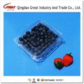 plastic blueberry clamshell packaging