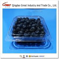 plastic blueberry clamshell packaging 2