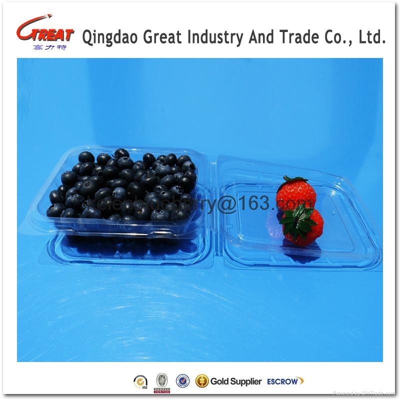 plastic blueberry clamshell packaging 4