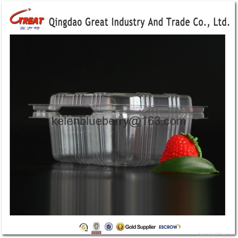 250g plastic cherry tomatoes clamshell packaging 3