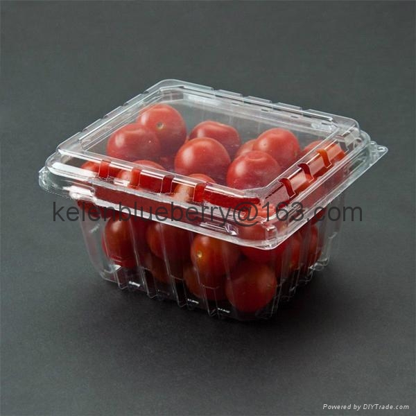 250g plastic cherry tomatoes fruit packing container GLT250C1 (China