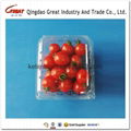 250g plastic cherry tomatoes fruit packing container 2