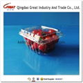 250g plastic cherry tomatoes fruit packing container 3