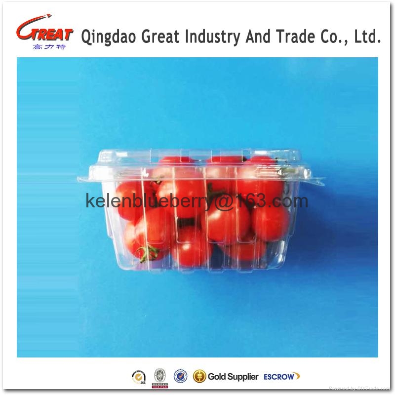 250g plastic cherry tomatoes fruit packing container GLT250C1 (China