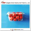 250g plastic cherry tomatoes fruit packing container 4