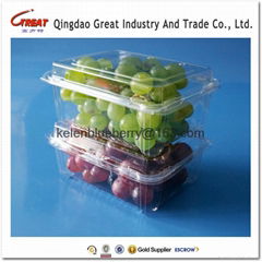 500g plastic fruit packing container