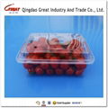 500g plastic fruit packing container 2