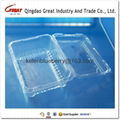 500g plastic fruit packing container 3