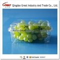 500g plastic fruit packing container 4