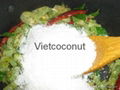 COCONUT MILK POWDER 1