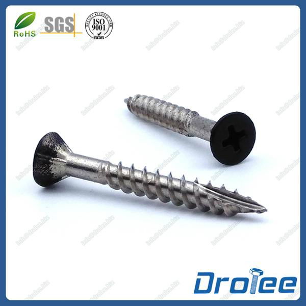 Stainless Steel 316L Matt Black Painted Head Deck Screw Type 17